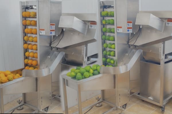 orange juice extraction machine industrial plant