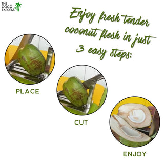 Tender coconut cutting process